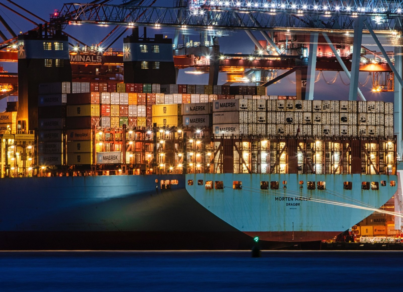 Ocean Freight Forwarding (FCL & LCL) imagen 2